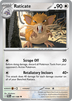 Raticate from Perfect Order